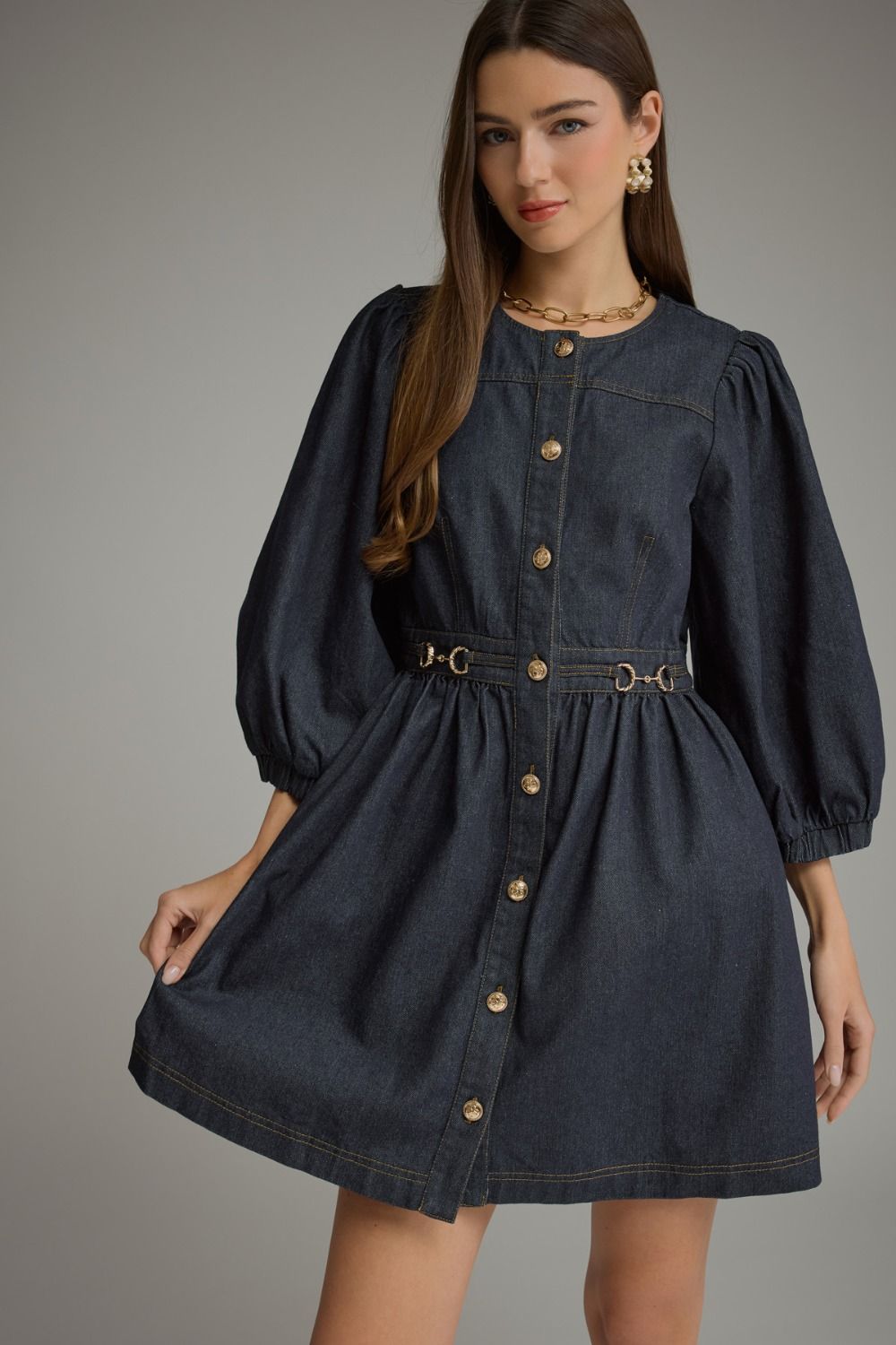 The Dianne Denim Dress