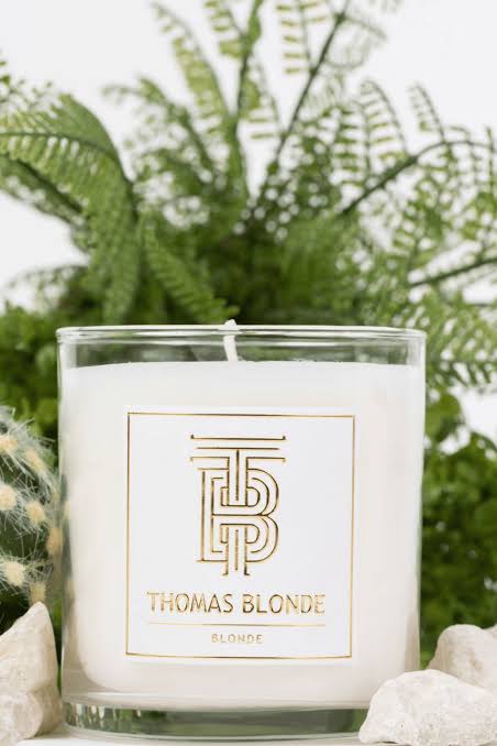 TB/ Blonde Candle/ 12 oz