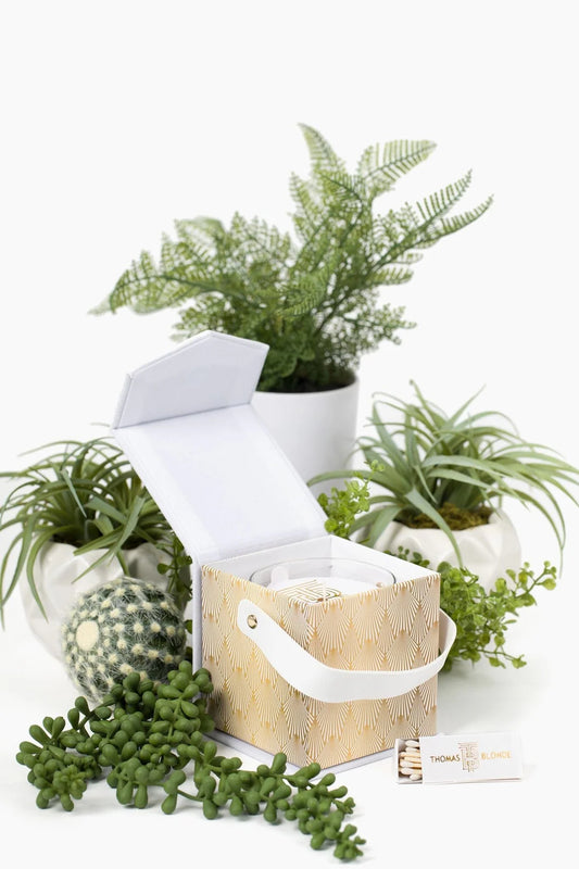 TB/ Bougie Blonde Gift Box + Candle Set