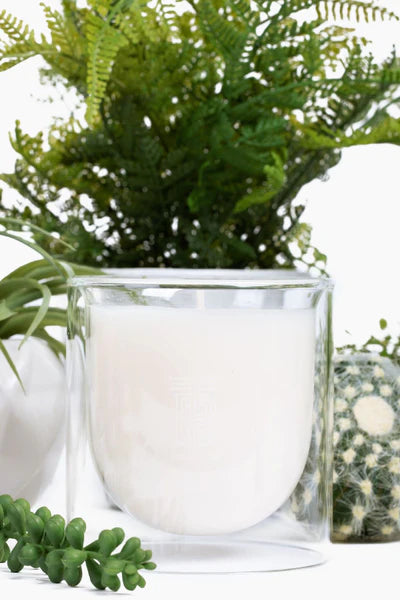 TB/ Mod Luxe Candle/ Joshua Tree